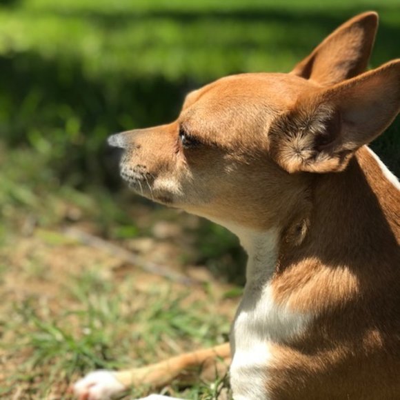 🛍 Posh Ambassador 🛍 Meet your Posher, Jessica ☀️ - Picture 4 of 8